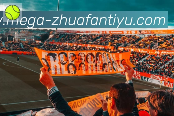 奖项证书